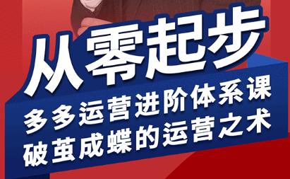 海神·拼多多运营进阶系统课(更新8月)-白蛇网赚