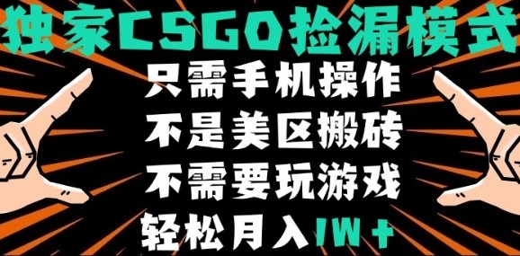 CSGO自动捡漏项目，最新独家玩法，不是美区搬砖，不需要了解和玩游戏，新手小白轻松月入1W+【揭秘】-白蛇网赚