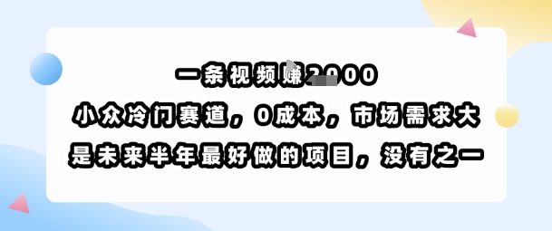 一条视频挣1k，小众冷门赛道，0成本，市场需求大，是未来半年最好做的项目，没有之一-白蛇网赚