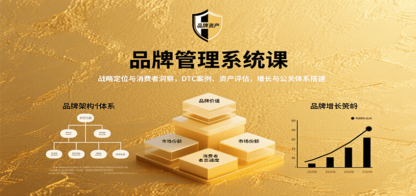 品牌管理系统课：战略定位与消费者洞察，DTC案例、资产评估，增长与公关体系搭建-白蛇网赚