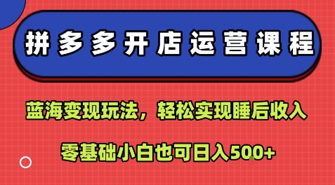 拼多多开店运营课程：蓝海变现玩法，轻松实现睡后收入，零基础小白也可日入5张-白蛇网赚