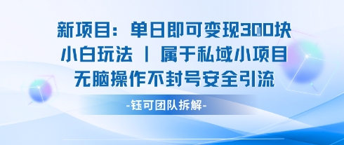 新项目单日即可变现3张的小白玩法无脑操作不封号安全引流-白蛇网赚