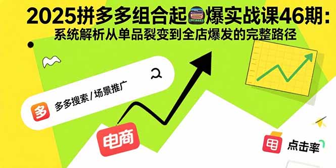 2025拼多多组合起爆实战课46期：系统解析从单品裂变到全店爆发的完整路径-白蛇网赚