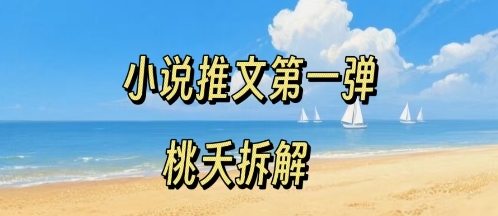 小说推文项目操作全流程第一弹，0粉就能做，门槛低非常适合新手-白蛇网赚