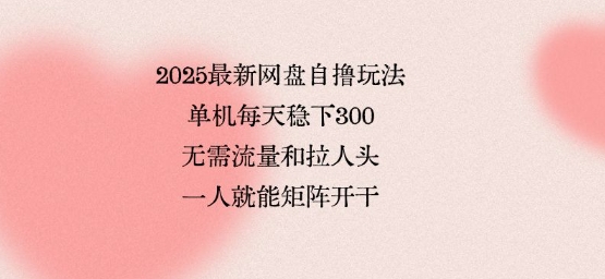 2025最新网盘自撸玩法，单机每天稳下3张，无需流量和拉人头，一个人就可轻松矩阵，全网独一份【揭秘】-白蛇网赚