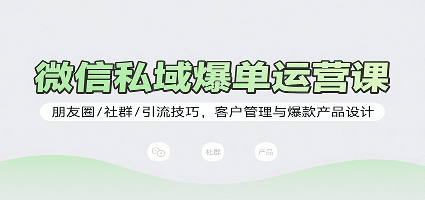 微信私域爆单运营课：朋友圈/社群/引流技巧，客户管理与爆款产品设计-白蛇网赚