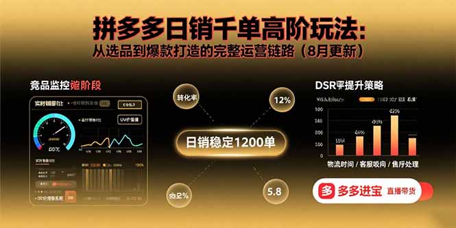 拼多多日销千单高阶玩法：从选品到爆款打造的完整运营链路(8月更新-白蛇网赚