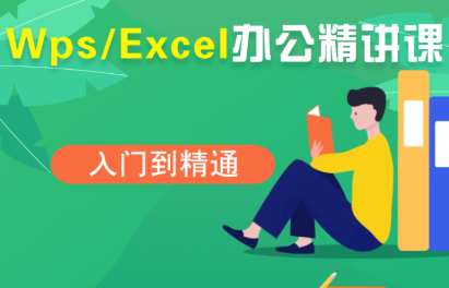 夏老师·WPS Excel办公(精讲课)-白蛇网赚