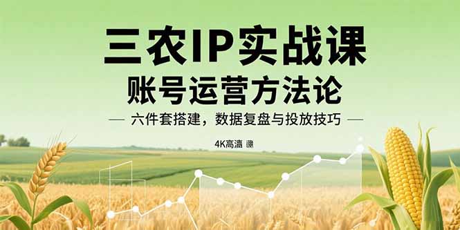 三农IP实战课：账号运营方法论，六件套搭建，数据复盘与投放技巧-白蛇网赚