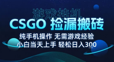 8月最新游戏搬砖，CSGO纯挂G，不需要玩游戏，实现真挂G，月入1W+【揭秘】-白蛇网赚