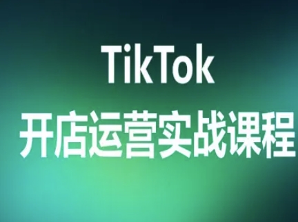 TikTok开店运营实战课程，TK跨境电商实操全流程-白蛇网赚