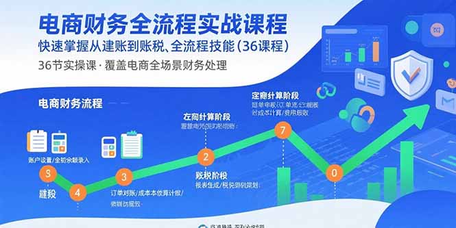 电商财务全流程实战课程：快速掌握从建账到报税的全流程技能(36节课-白蛇网赚