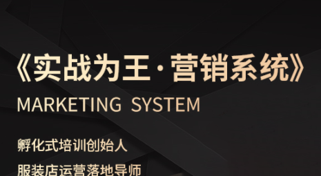 老杨·服装老板必修课《实战为王-营销系统》实现业绩被动式增长-白蛇网赚
