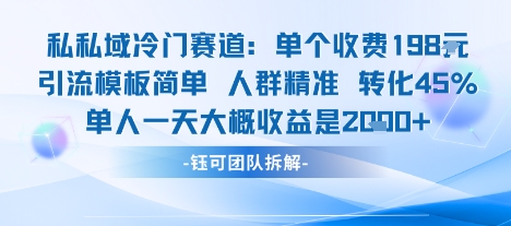 私域冷门赛道单个收费198米引流模板简单人群精准 45%的转化率单人一天大概收益多张-白蛇网赚