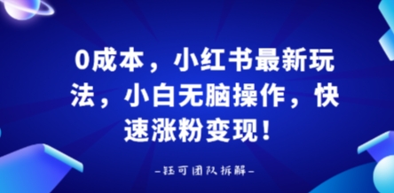 0成本，小红书最新玩法，小白无脑操作，快速涨粉变现-白蛇网赚