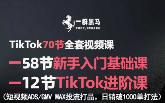 TikTok全套视频课，新手入门+进阶课，短视频ADS-GMV MAX投流打品，日销破1000单打法-白蛇网赚