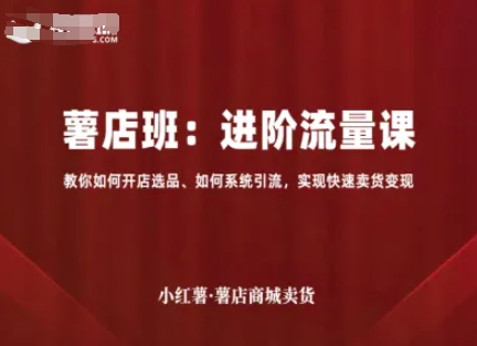 小红薯薯店商城卖货，进阶流量课，教你如何开店选品、如何系统引流，实现快速卖货变现-白蛇网赚