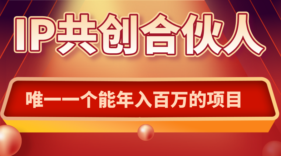 如何通过IP共创合伙人一起合伙“卖项目”-白蛇网赚