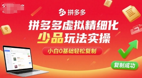 拼多多虚拟精细化少品玩法实操，小白0基础轻松复制-白蛇网赚