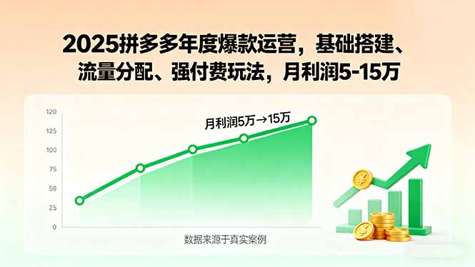 2025拼多多年度爆款运营，基础搭建、流量分配、强付费玩法，月利润5-15万-白蛇网赚