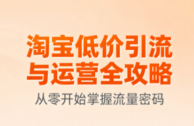 淘宝低价引流与运营全攻略(更新9月)-白蛇网赚