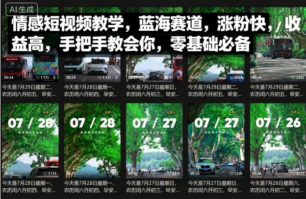 情感短视频教学，蓝海赛道，涨粉快，收益高，手把手教会你，零基础必备-白蛇网赚