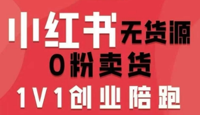小红书无货源0粉电商课，开店准备、选品策略、笔记撰写、视频剪辑、数据分析、账号打造、资料文档-白蛇网赚