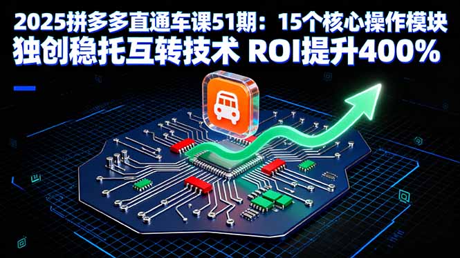 2025拼多多直通车课51期：15个核心操作模块 独创稳托互转技术 ROI提升400%-白蛇网赚