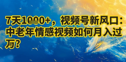 7天收益1k+，视频号新风口：中老年情感视频如何月入过W?-白蛇网赚