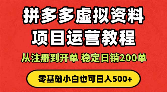 拼多多开店运营课程: 蓝海变现玩法,轻松实现睡后收入 零基础小白也可...-白蛇网赚