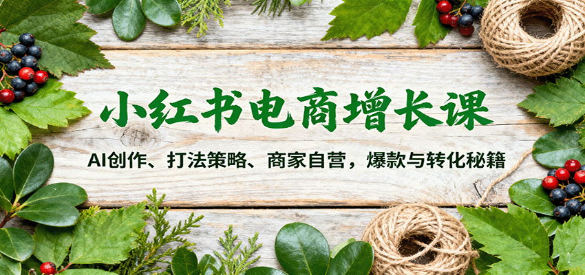 小红书电商增长课：AI创作、打法策略、商家自营，爆款与转化秘籍-白蛇网赚
