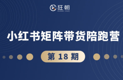 盗坤·抖音小红书视频号短视频带货与直播变现(11-18期)-白蛇网赚