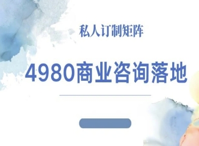 4980商业咨询师落地课程-ip运营高客单教程-白蛇网赚