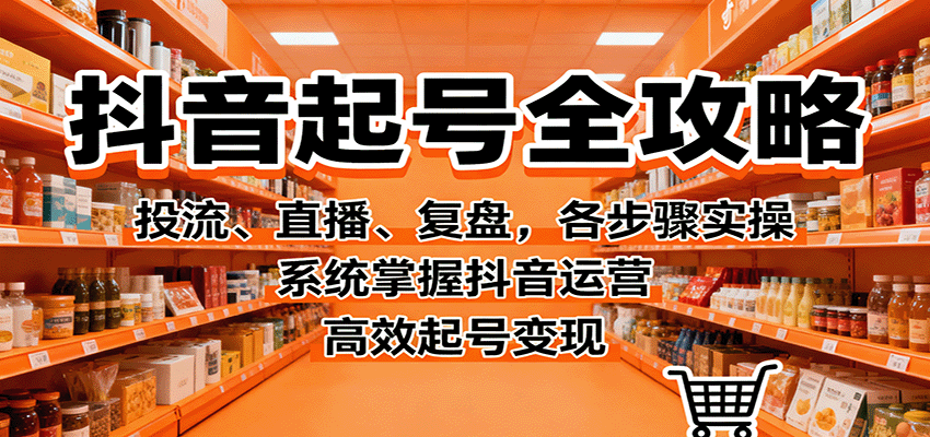 抖音起号全攻略，投流、直播、复盘，各步骤实操，系统掌握抖音运营，高效起号变现-白蛇网赚