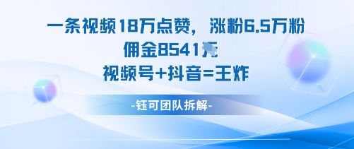 一条视频18W点赞,涨粉6.5W粉佣金8541米,视频号+抖音=王炸-白蛇网赚
