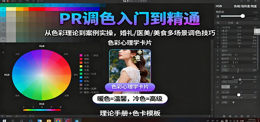PR调色入门到精通:从色彩理论到案例实操,婚礼/医美/美食多场景调色技巧-白蛇网赚