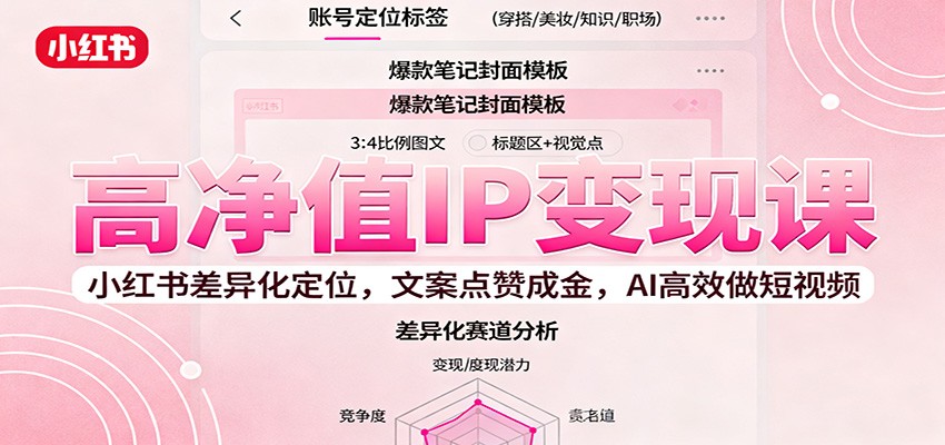 高净值IP变现课：小红书差异化定位，文案点赞成金， AI高效做短视频-白蛇网赚