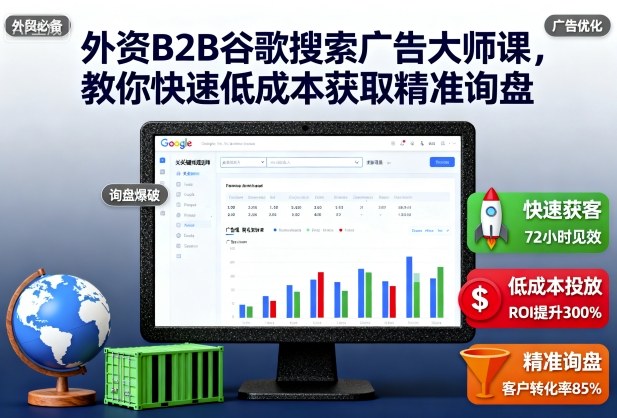 外资B2B谷歌搜索广告大师课,教你快速低成本获取精准询盘-白蛇网赚
