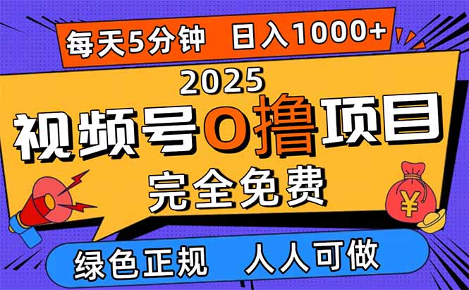 2025视频号0撸项目,5分钟一个号,日入1000+,人人可做-白蛇网赚