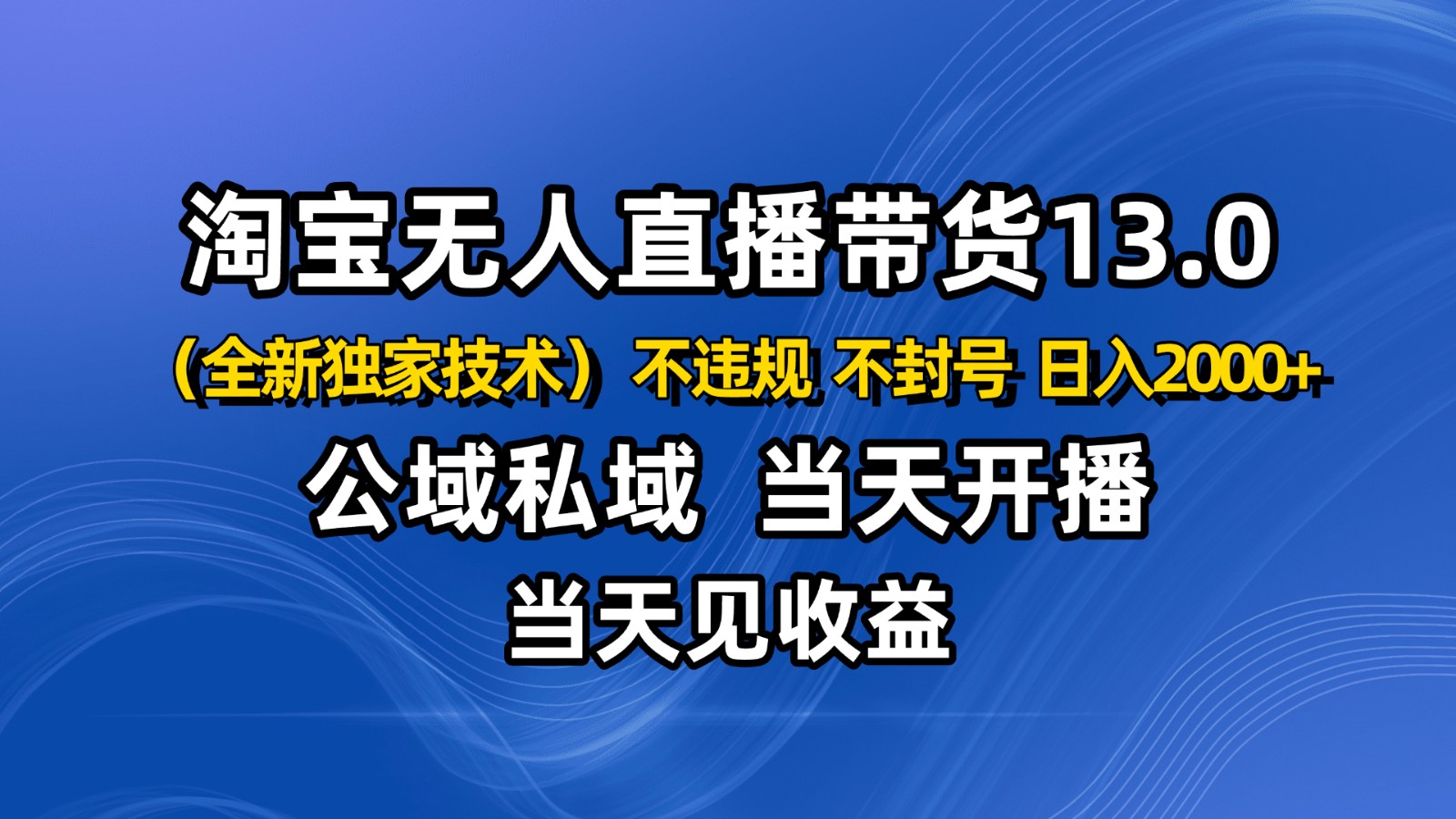 淘宝无人直播13.0，公域私域技术，不封号，不违规 布局下半年旺季赛道，日入2000+-白蛇网赚