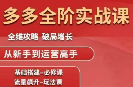 大炮·拼多多全阶实战课程(更新10月)-魔逗项目网