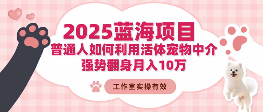 2025蓝海项目：普通人如何利用活体宠物中介，强势翻身月入10万-魔逗项目网