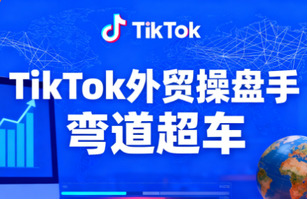 TikTok外贸操盘手(更新11月)-白蛇网赚