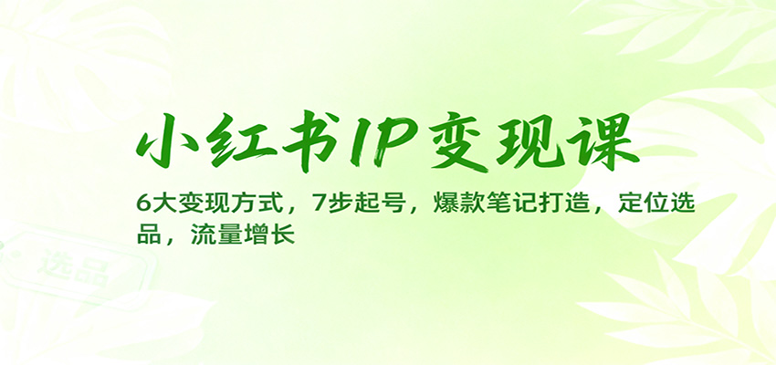 小红书IP变现课：6大变现方式，7步起号，爆款笔记打造，定位选品，流量增长-白蛇网赚