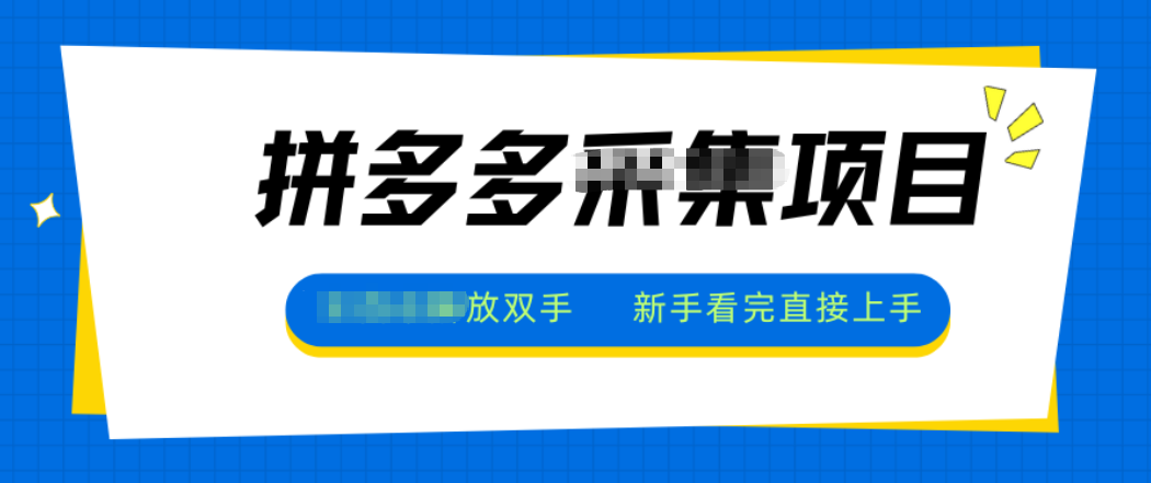 拼多多电商采集，一小时50+，操作简单，零投资-白蛇网赚
