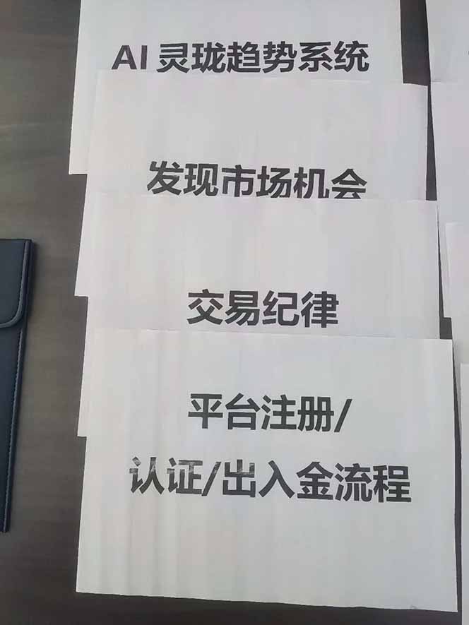 图片[3]-海外美金AI掘金项目，200U可入门槛，一天一单即可，每天1000-2000很轻松！-白蛇网赚