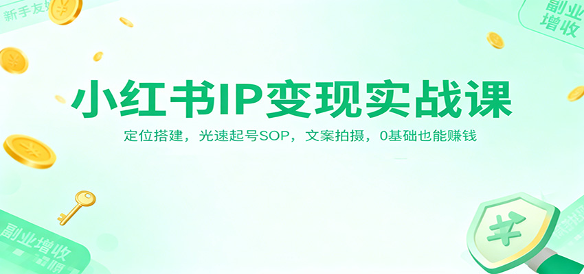 小红书IP变现实战课：定位搭建，光速起号SOP，文案拍摄，0基础也能赚钱-白蛇网赚