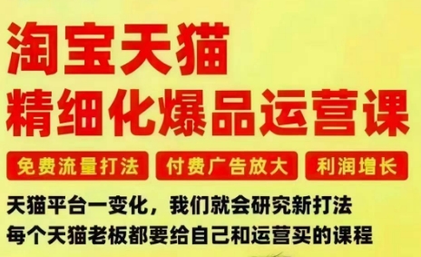 淘宝天猫精细化爆品运营课,免费流量打法-付费广告放大-利润增长-三大核心痛点,一次全部解决-白蛇网赚