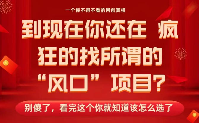 马上26年了，你还在找所谓的风口项目？别傻了，看完这个你全都懂了！【揭秘】-白蛇网赚