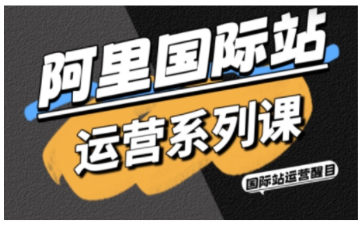 阿里国际站运营系列课，涵盖精准引流、直通车与全站推实战SOP，搭配AI效率工具包与高阶增长玩法(更新)-白蛇网赚